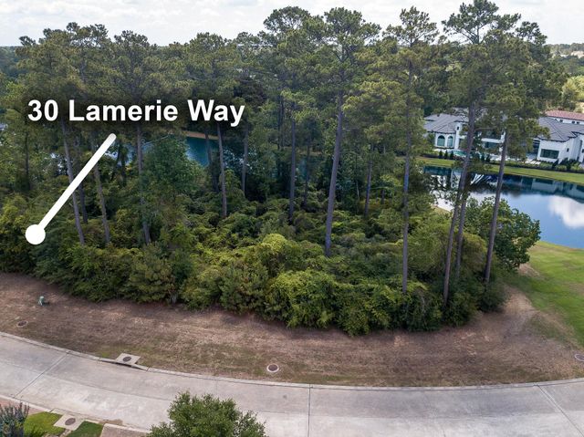 30 Lamerie Way, The Woodlands, TX 77382