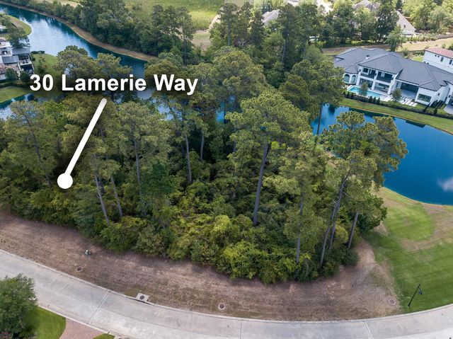 30 Lamerie Way, The Woodlands, TX 77382