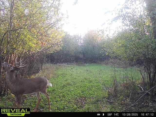 1615 Ulao PARKWAY S, Grafton, WI 53024