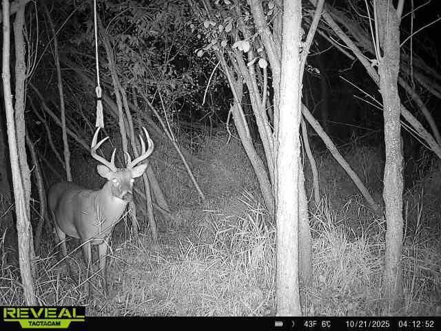 1615 Ulao PARKWAY S, Grafton, WI 53024