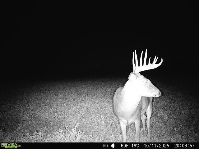 1615 Ulao PARKWAY S, Grafton, WI 53024