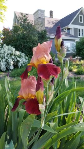 1615 Ulao PARKWAY S, Grafton, WI 53024