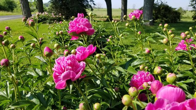 1615 Ulao PARKWAY S, Grafton, WI 53024