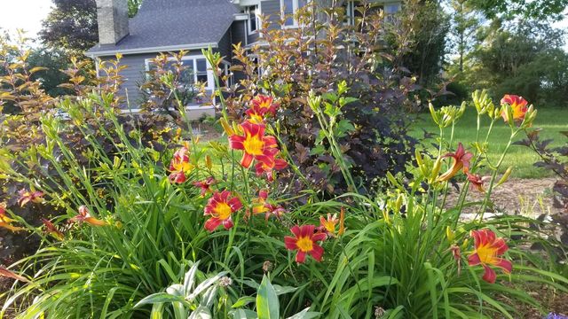 1615 Ulao PARKWAY S, Grafton, WI 53024