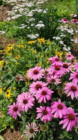 1615 Ulao PARKWAY S, Grafton, WI 53024