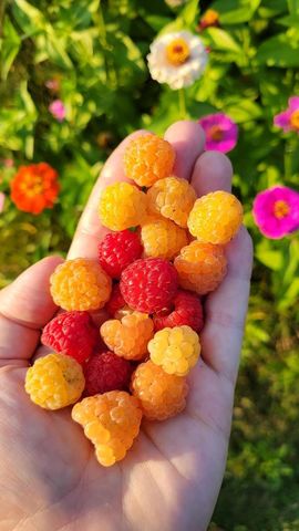 1615 Ulao PARKWAY S, Grafton, WI 53024