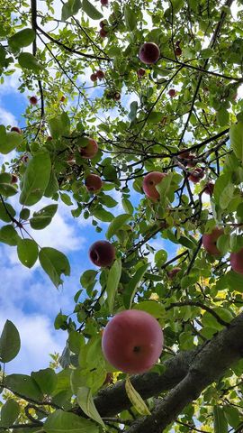 1615 Ulao PARKWAY S, Grafton, WI 53024