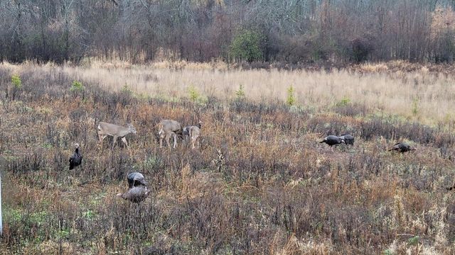 1615 Ulao PARKWAY S, Grafton, WI 53024