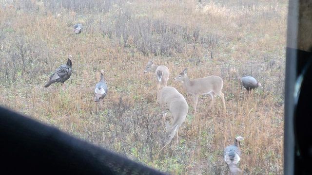 1615 Ulao PARKWAY S, Grafton, WI 53024