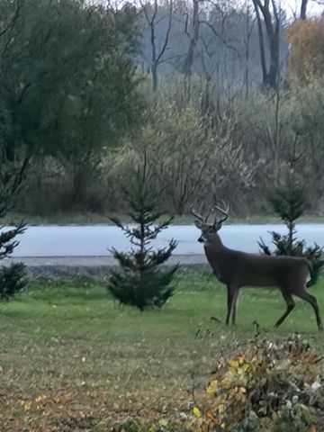 1615 Ulao PARKWAY S, Grafton, WI 53024