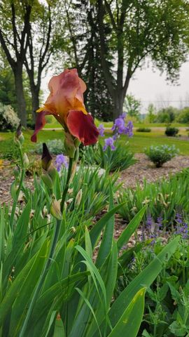 1615 Ulao PARKWAY S, Grafton, WI 53024