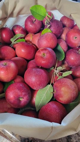 1615 Ulao PARKWAY S, Grafton, WI 53024