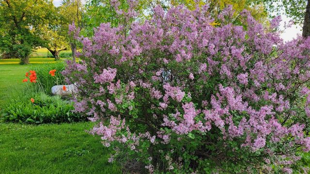 1615 Ulao PARKWAY S, Grafton, WI 53024