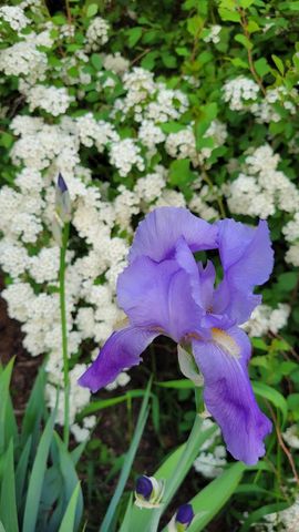 1615 Ulao PARKWAY S, Grafton, WI 53024