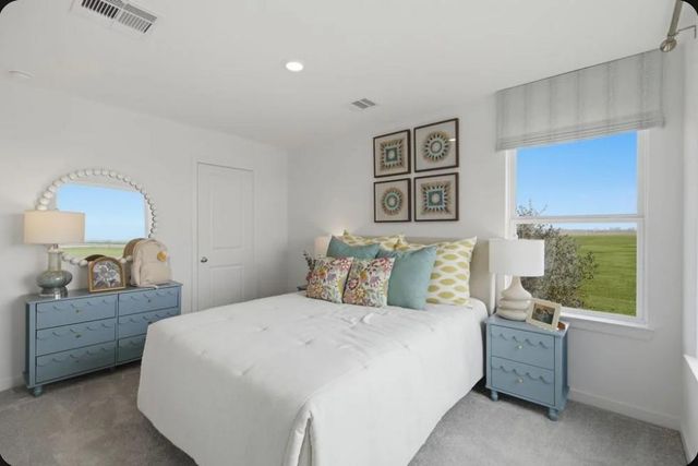 17422 Lush Laurel Lane, Hockley, TX 77447