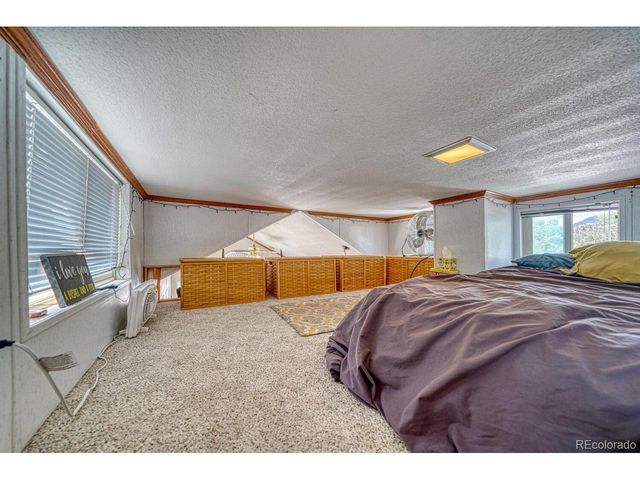 10795 County Road 197A 184, Nathrop, CO 81236