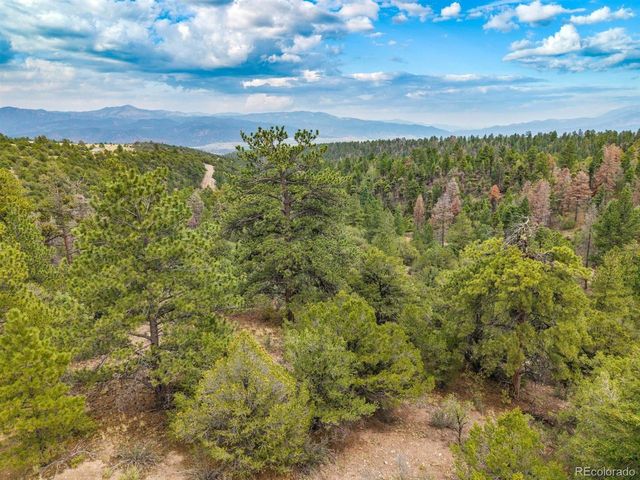 13500 County Road 251, Salida, CO 81201