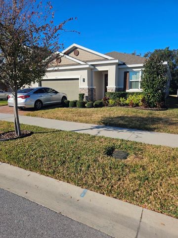 404 DARCY BLUFF PLACE, Valrico, FL 33594