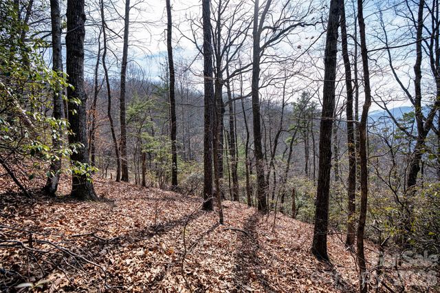 0 Rachel Ridge, Lake Lure, NC 28746