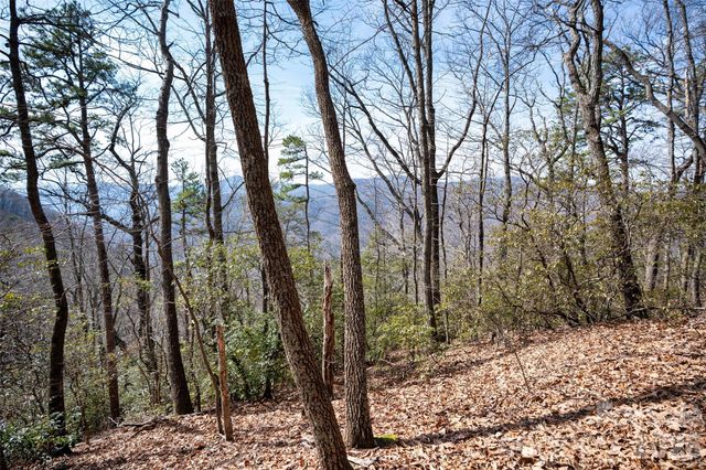 0 Rachel Ridge, Lake Lure, NC 28746