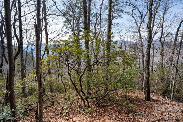 0 Rachel Ridge, Lake Lure, NC 28746