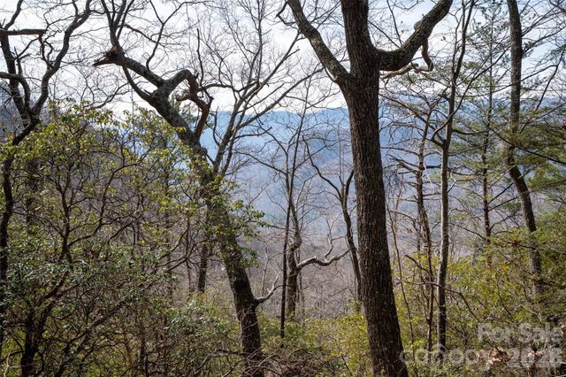 0 Rachel Ridge, Lake Lure, NC 28746