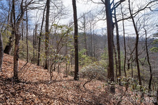 0 Rachel Ridge, Lake Lure, NC 28746