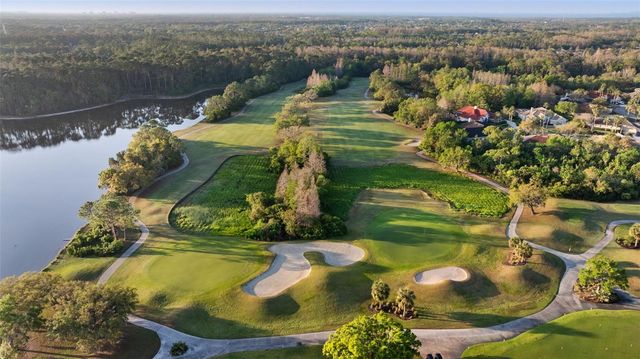 9617 GREENPOINTE DRIVE, Tampa, FL 33626