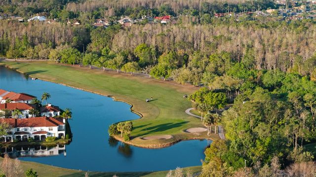 9617 GREENPOINTE DRIVE, Tampa, FL 33626