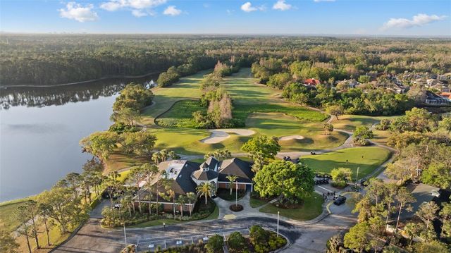 9617 GREENPOINTE DRIVE, Tampa, FL 33626