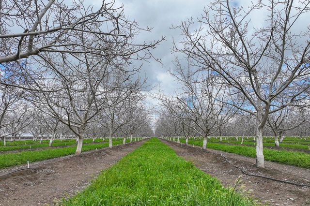 18995 Avenue 232, Lindsay, CA 93247