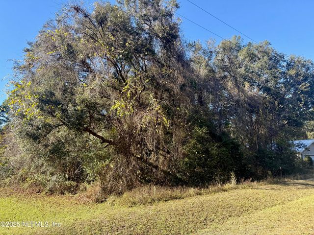 126 RAMSEY Drive, Grandin, FL 32138