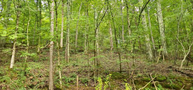 2196 Baker Station Rd, Goodlettsville, TN 37072