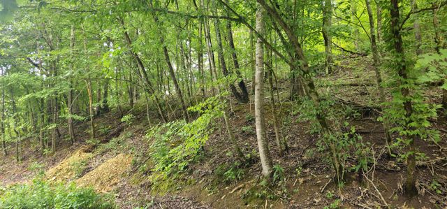 2196 Baker Station Rd, Goodlettsville, TN 37072