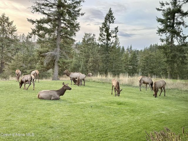 5264 E Shiras Rd, Coeur D'alene, ID 83814