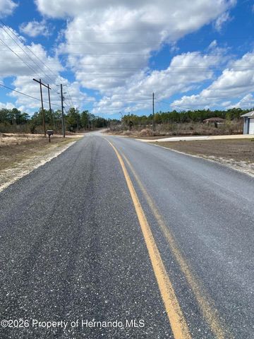 0000 Thrasher Avenue, Brooksville, FL 34614