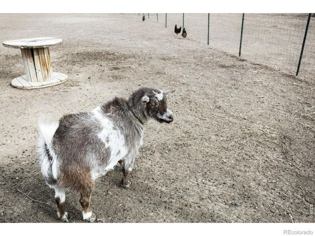14804 County Road 7, Mead, CO 80542