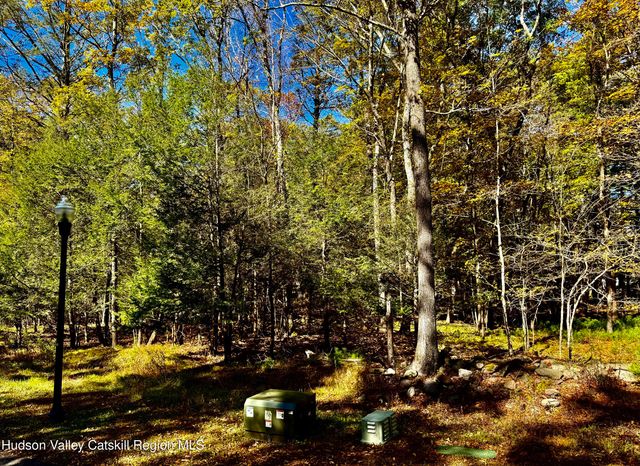 49 Falling Waters Drive Drive, Palenville, NY 12463