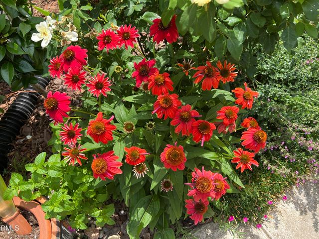 113 Rosedale Creek Drive, Durham, NC 27703