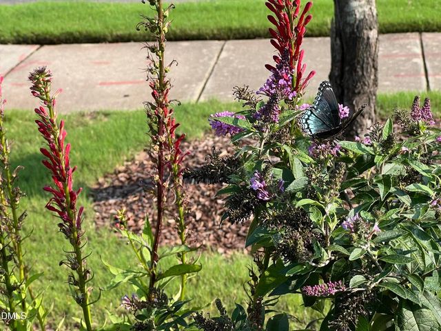 113 Rosedale Creek Drive, Durham, NC 27703