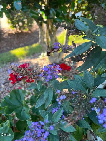 113 Rosedale Creek Drive, Durham, NC 27703