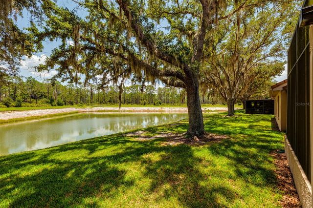 17557 FAIRMEADOW DRIVE, Tampa, FL 33647