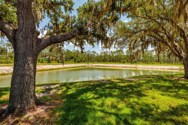17557 FAIRMEADOW DRIVE, Tampa, FL 33647