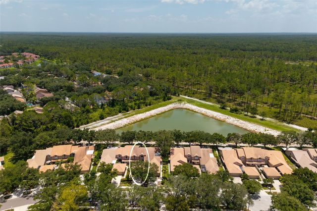 17557 FAIRMEADOW DRIVE, Tampa, FL 33647