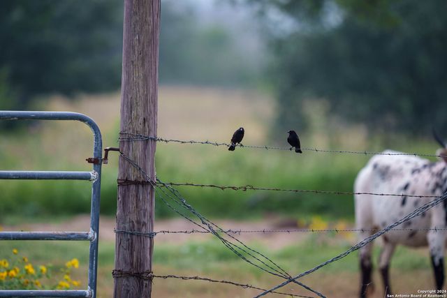 10801 County Road 116, Kenedy, TX 78119