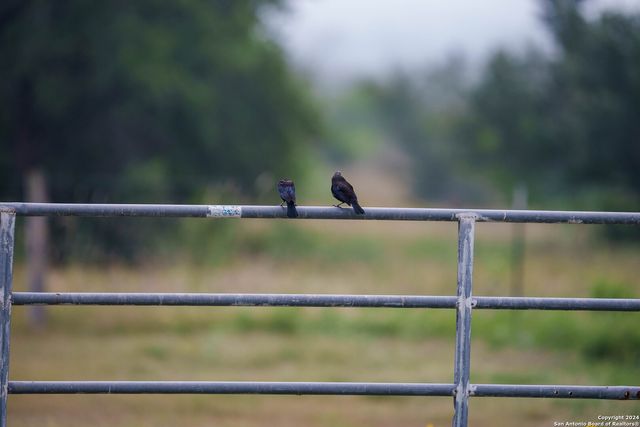 10801 County Road 116, Kenedy, TX 78119