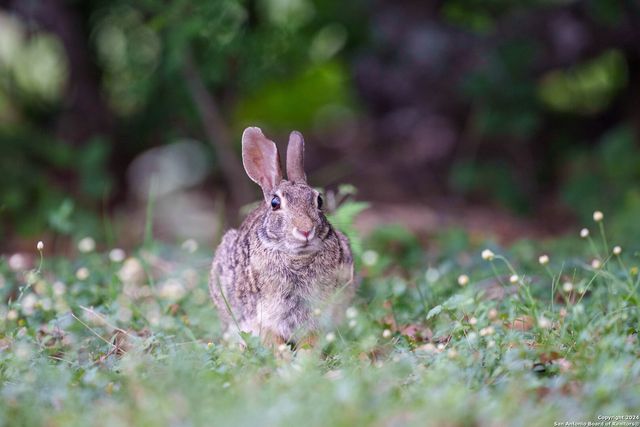 10801 County Road 116, Kenedy, TX 78119