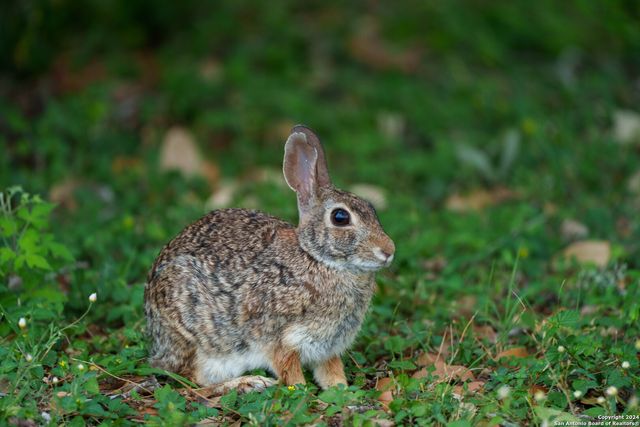 10801 County Road 116, Kenedy, TX 78119