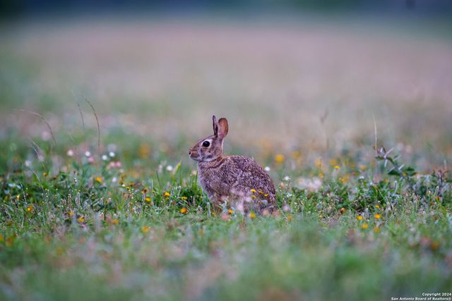 10801 County Road 116, Kenedy, TX 78119