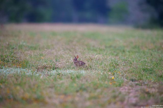 10801 County Road 116, Kenedy, TX 78119